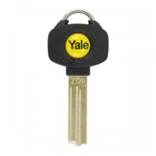 Yale Patented 3* Platinum Cut Keys